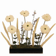 Artificial Gerbera flowers in glossy black acrylic box